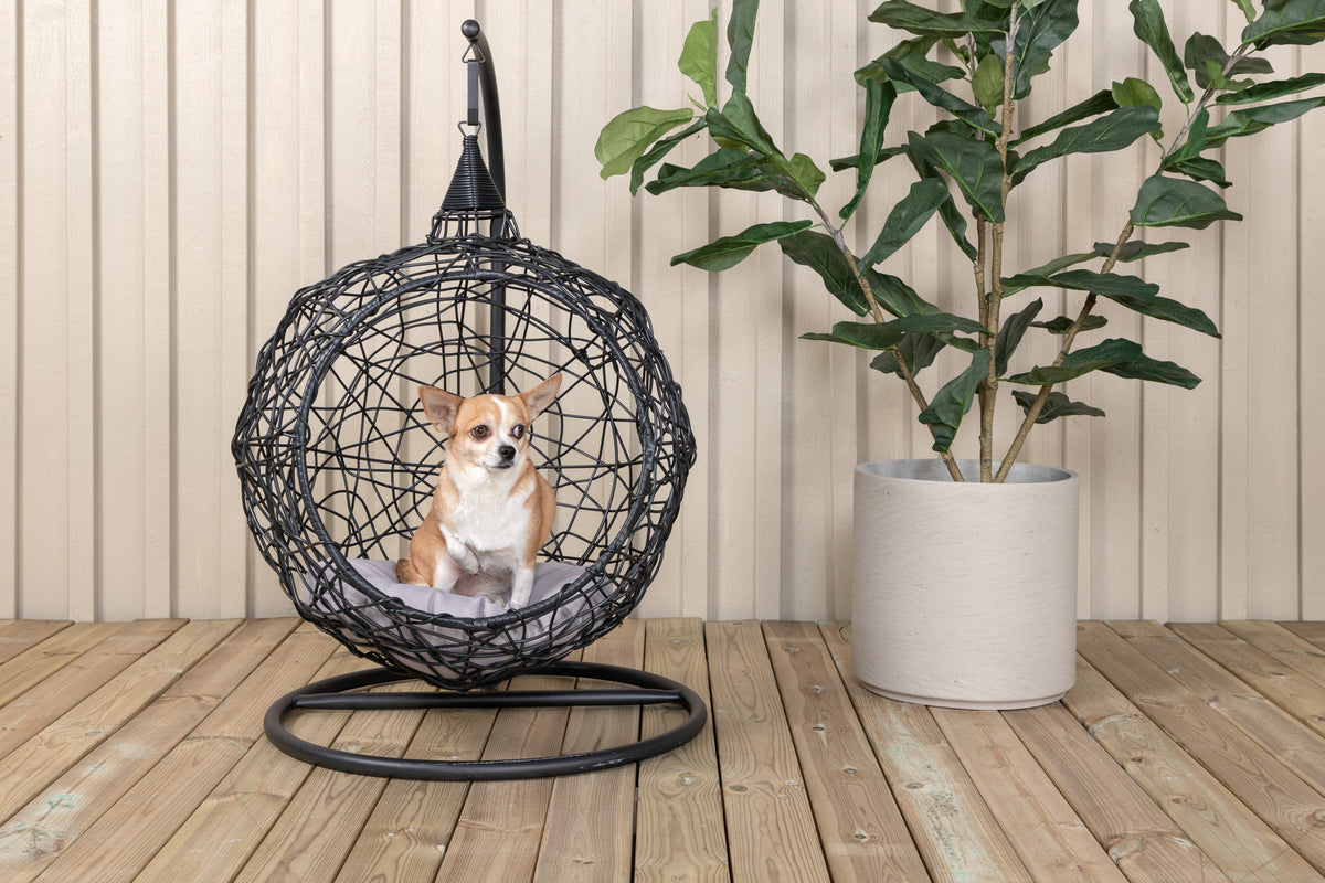 Hanging Chair Black