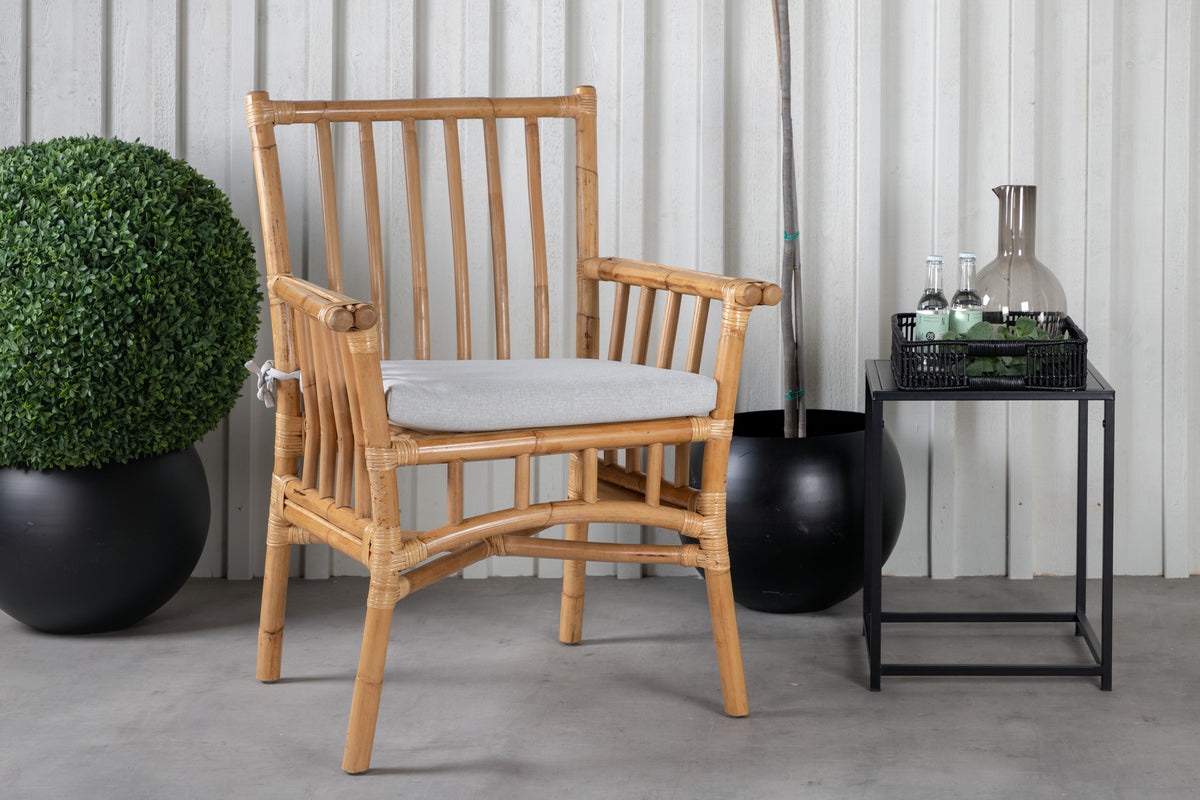 Dining Chair Nature