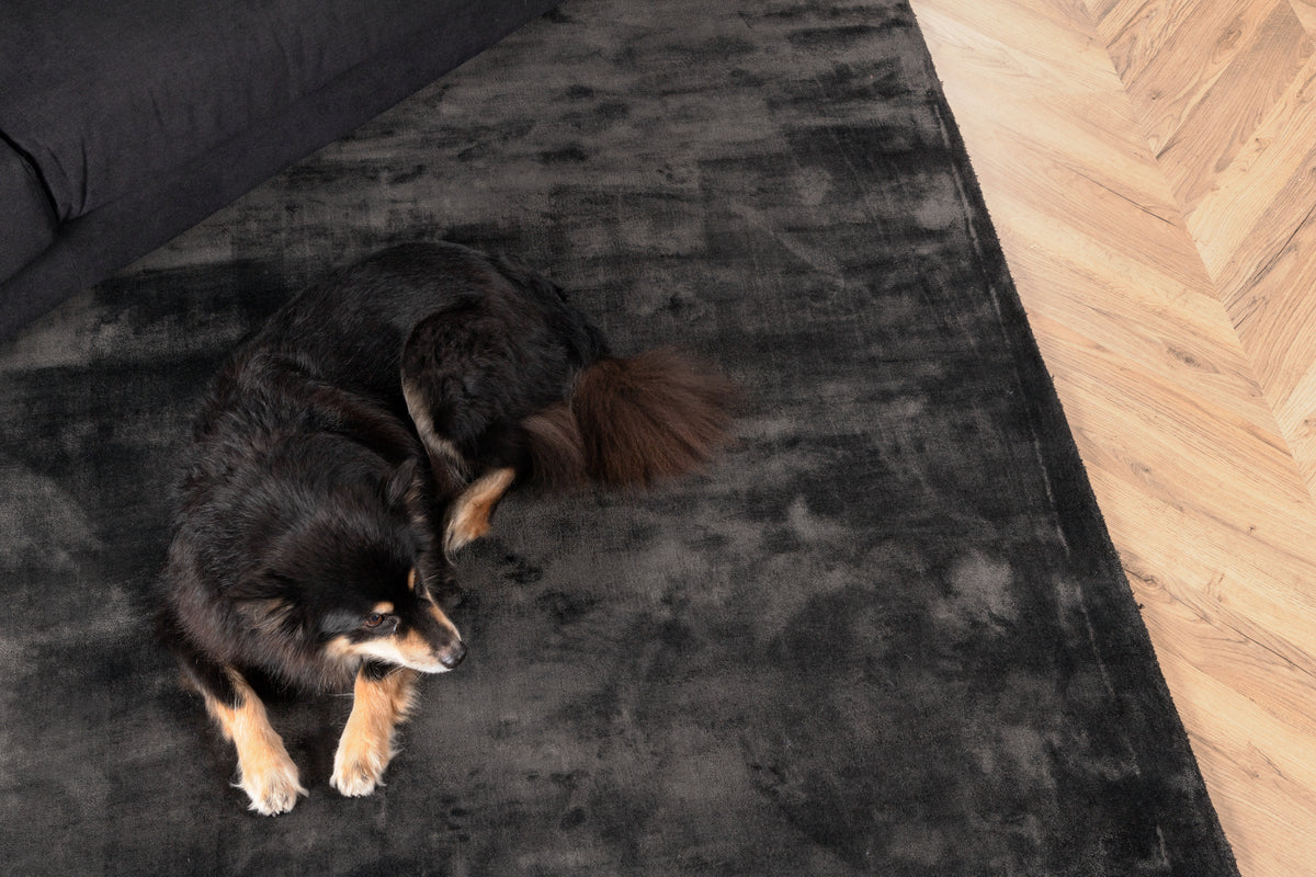 Rectangular Carpet 171 x 242 Dark Grey