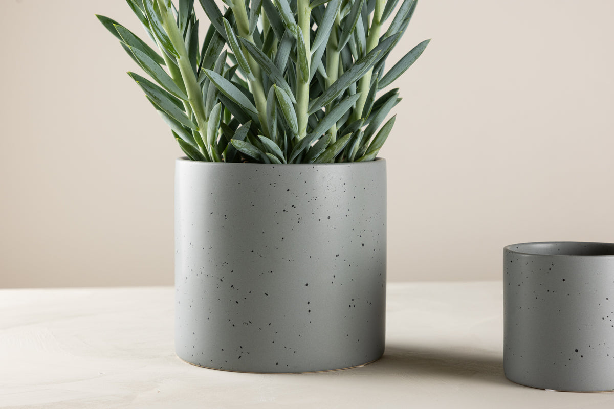 Pot ø18 Dark Grey