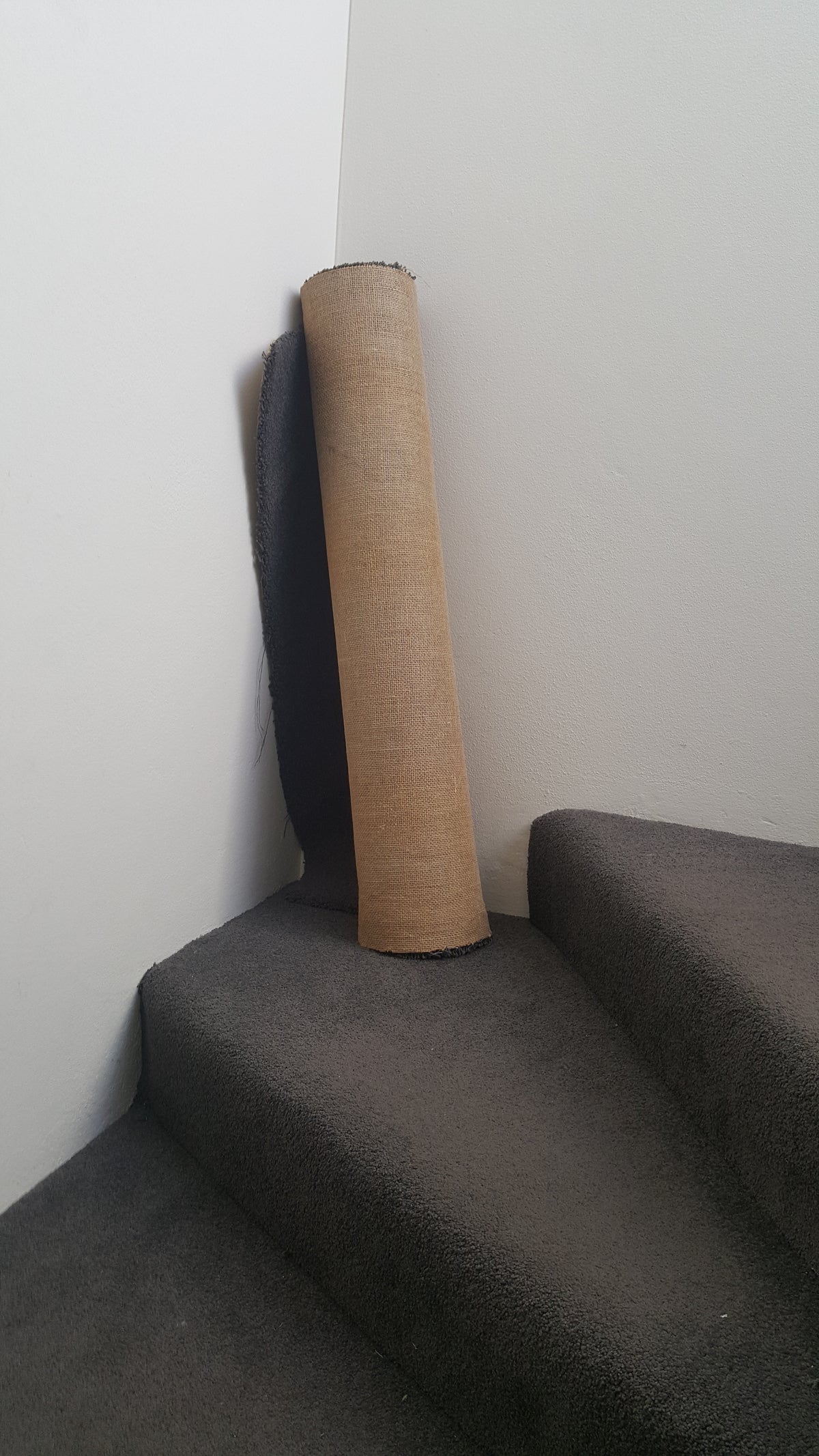 Poster Brown