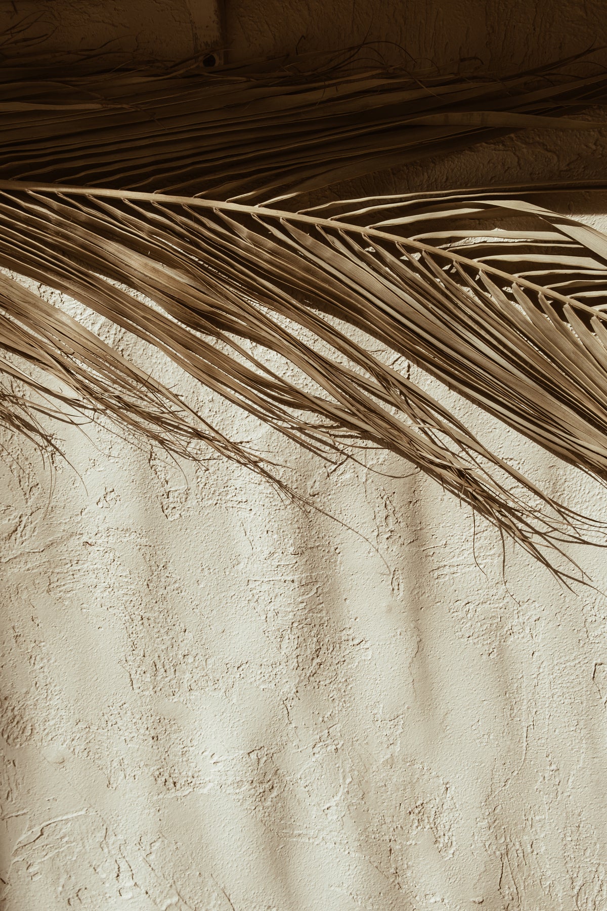 Poster Beige
