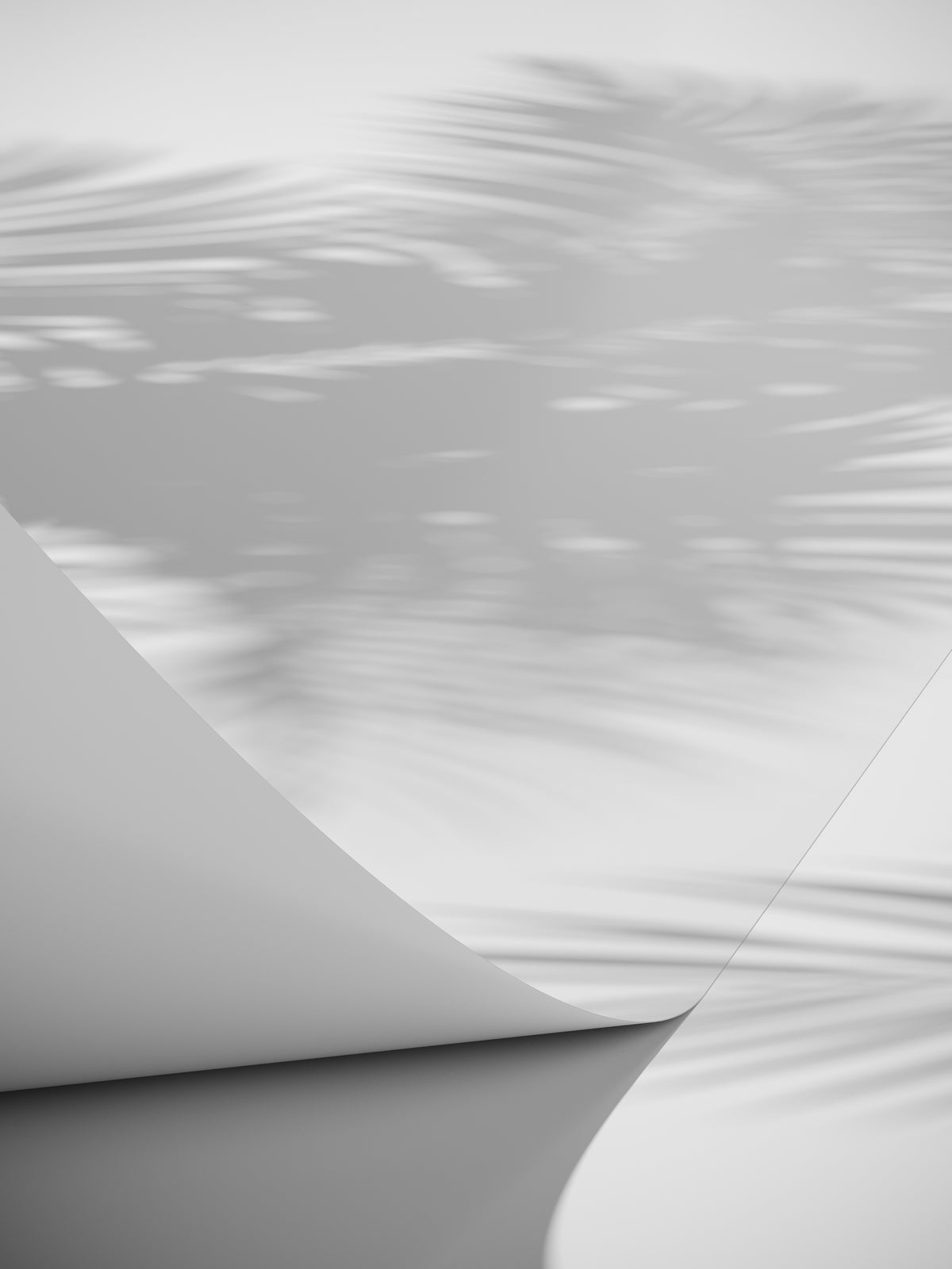 Poster White