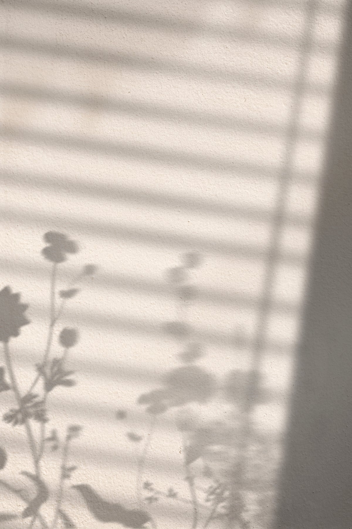 Poster White