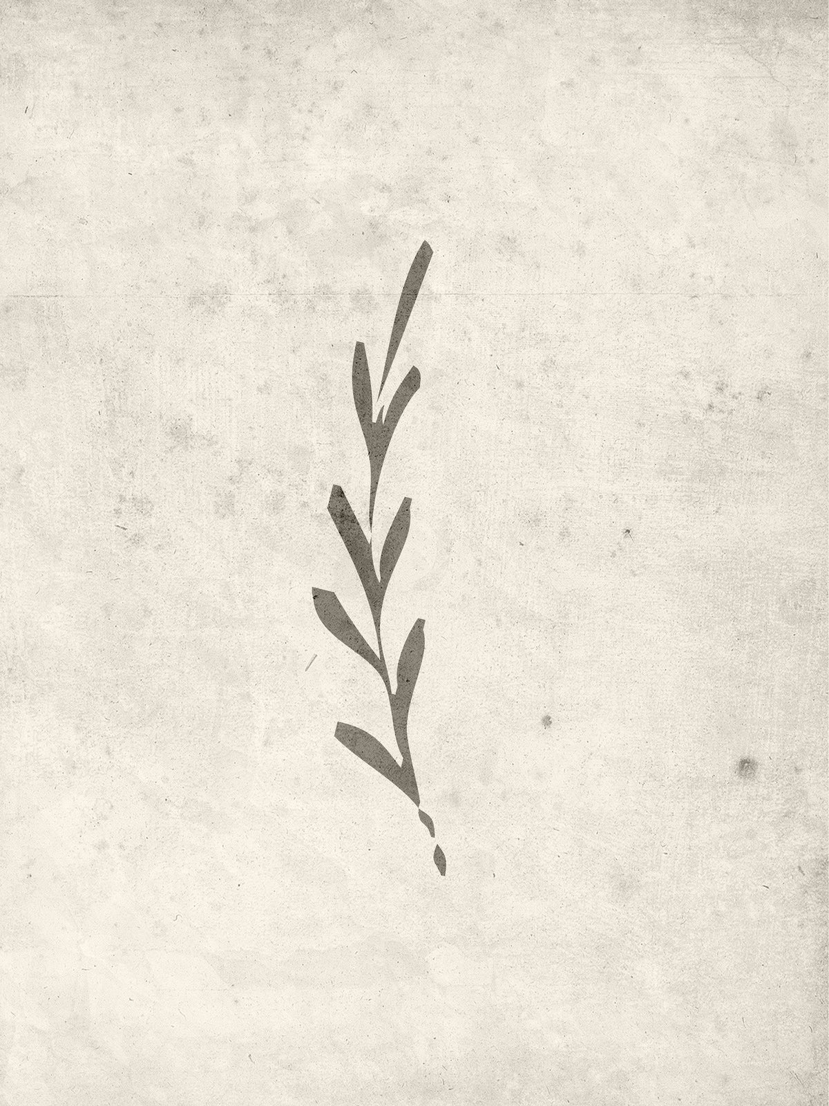Poster Beige
