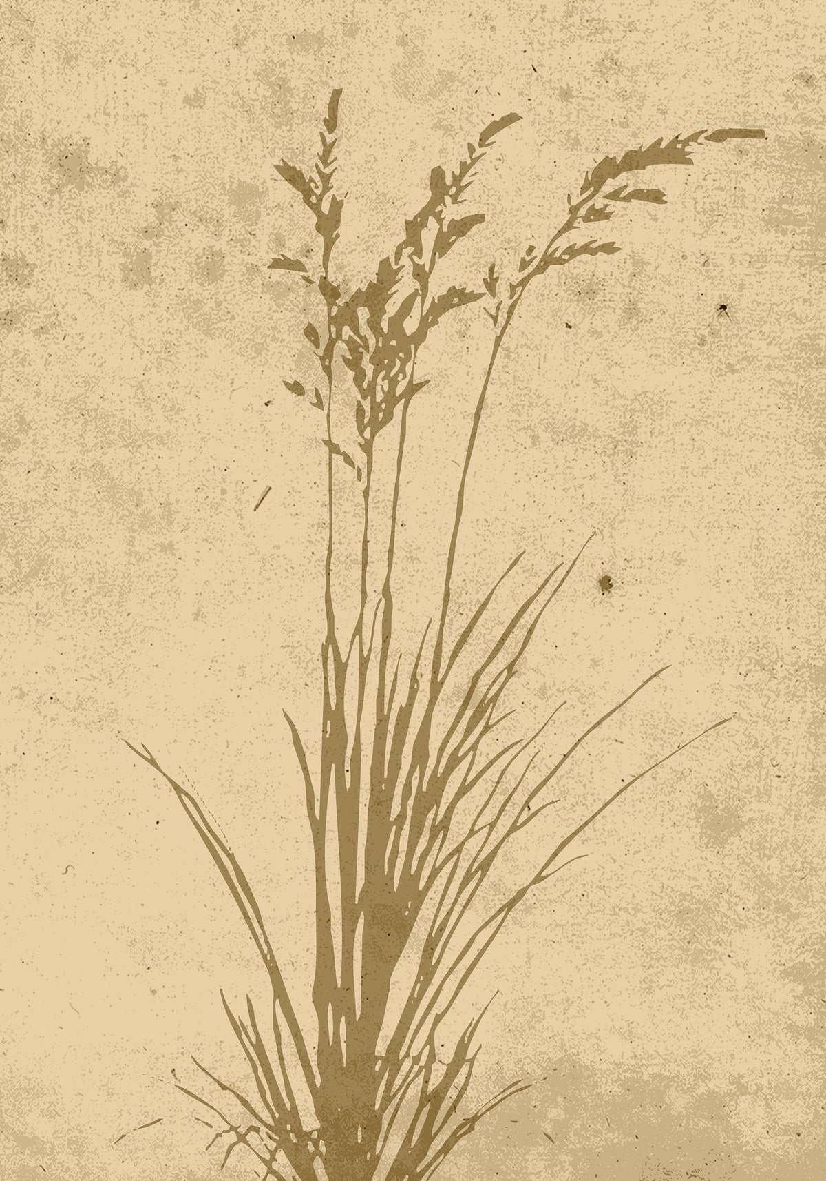 Poster Beige