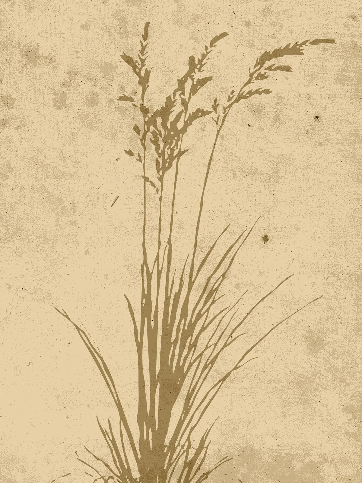 Poster Beige