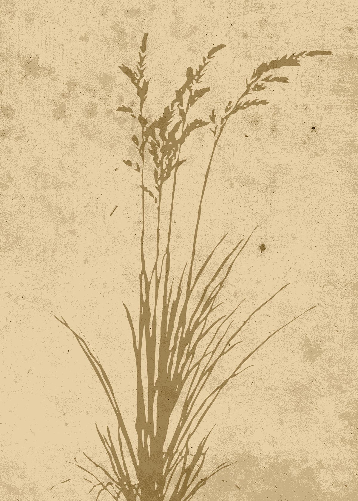 Poster Beige