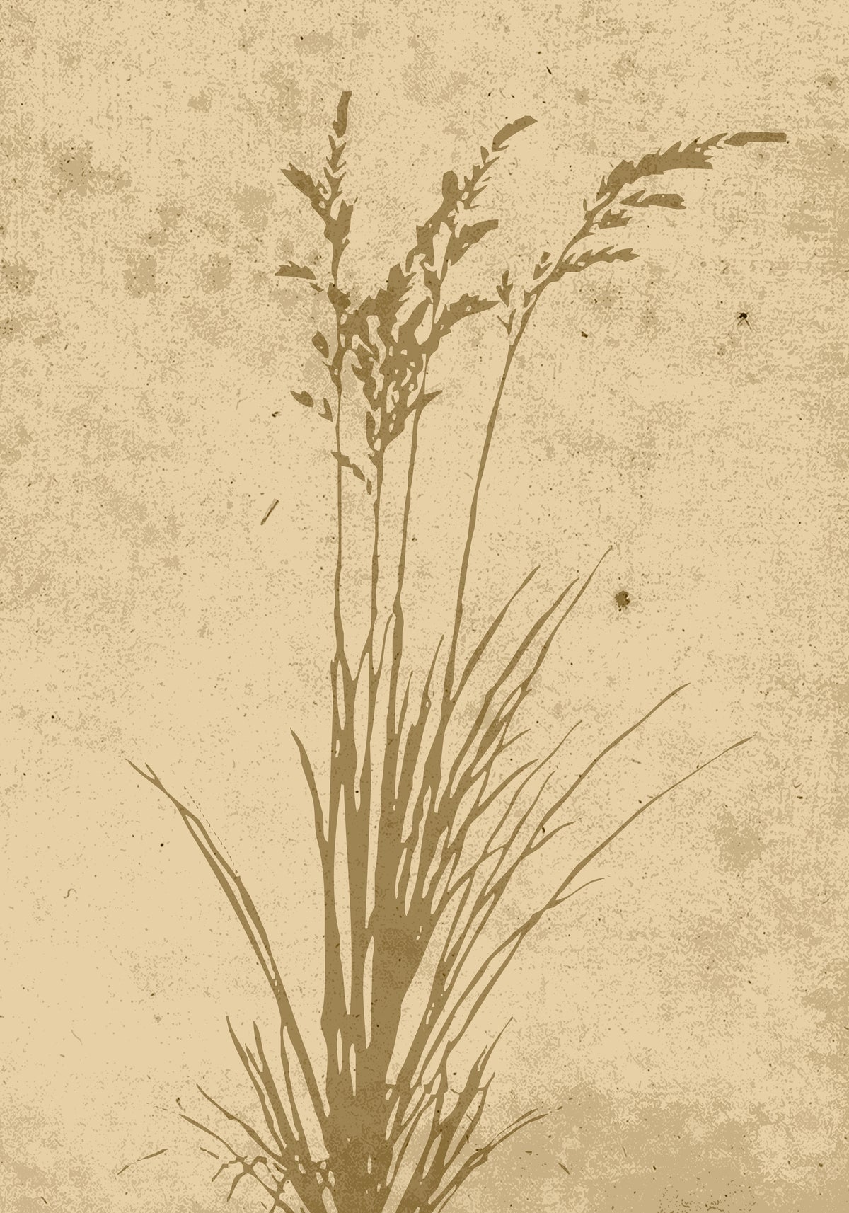 Poster Beige