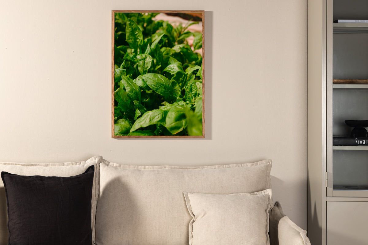 Poster Green