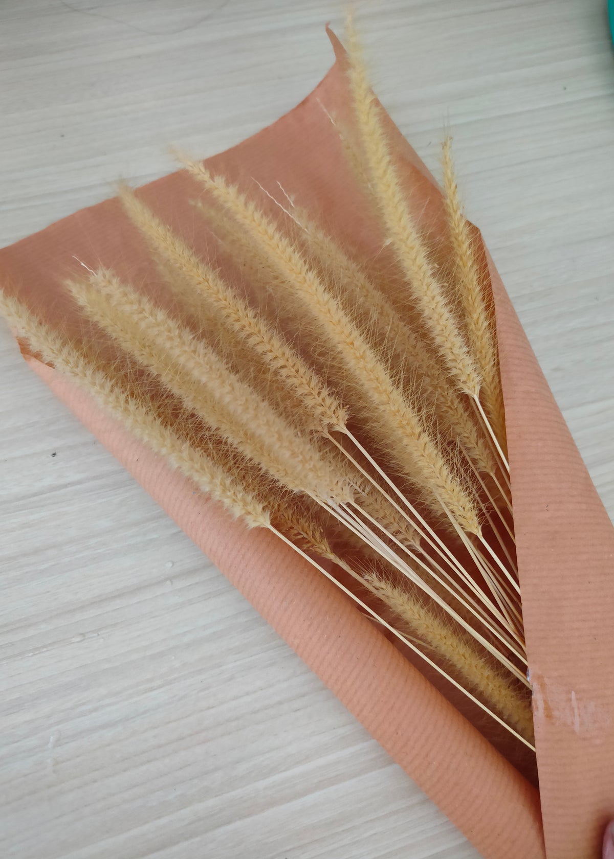 Poster Beige