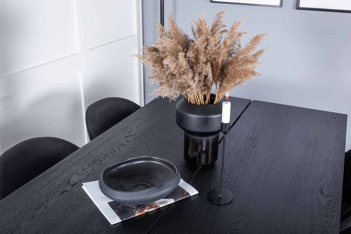 Rectangular Dining Table 75 x 195 x 95 Black + Dining Chair 2-pack Black