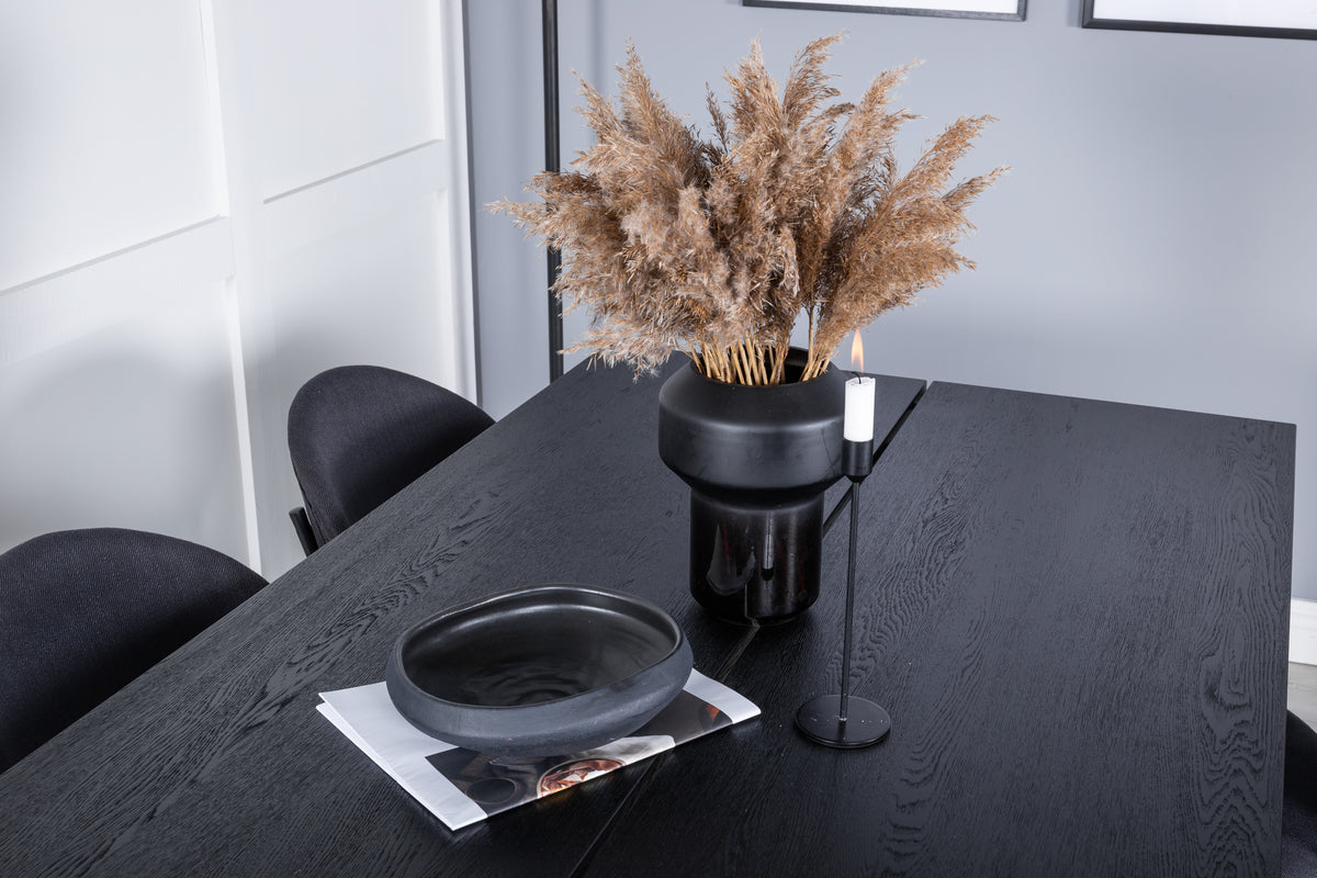Rectangular Dining Table 75 x 195 x 95 Black + Dining Chair 2-pack Black